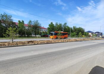 ШАУҒАР СЕКТОРЫНЫҢ 48 КӨШЕСІ ЖАРЫҚШАММЕН ҚАМТЫЛУДА