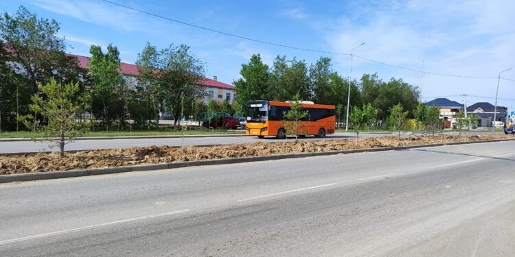 ШАУҒАР СЕКТОРЫНЫҢ 48 КӨШЕСІ ЖАРЫҚШАММЕН ҚАМТЫЛУДА