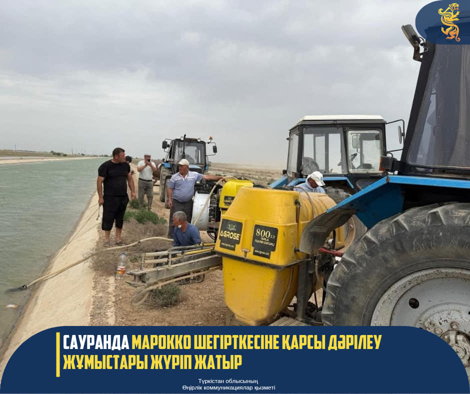 МАРОККО ШЕГІРТКЕСІНЕ ТОСҚАУЫЛ: 400 ГЕКТАР ЖЕРГЕ ДӘРІ СЕБІЛУДЕ