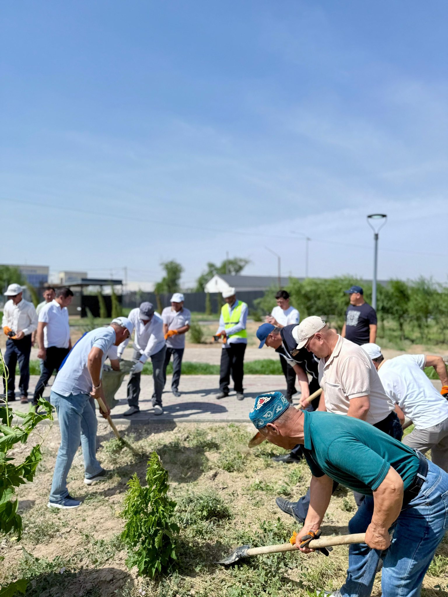 САУРАНДА СЕНБІЛІК ЖҰМЫСТАРЫ ЖҮЙЕЛІ ТҮРДЕ ЖҮРГІЗІЛУДЕ
